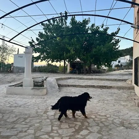 Country house Masia Bernat *